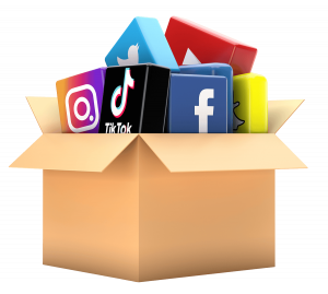 box-contains-social-media-icons